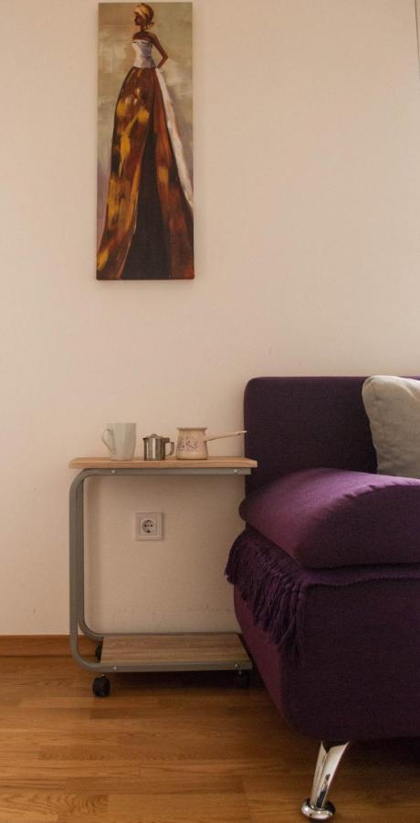 Apartman Soko Сокобаня Экстерьер фото