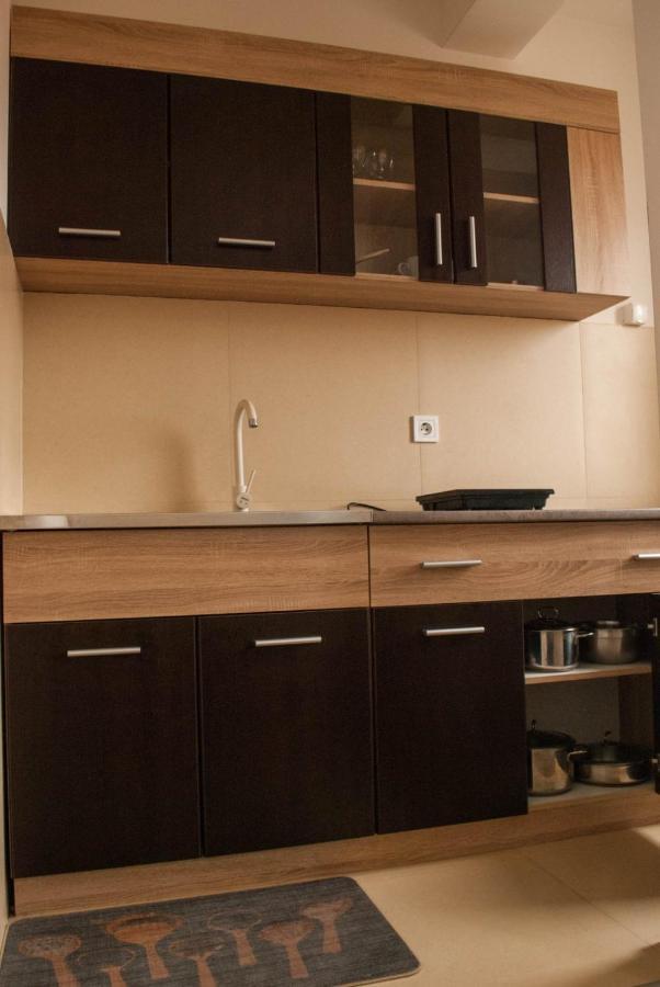 Apartman Soko Сокобаня Экстерьер фото