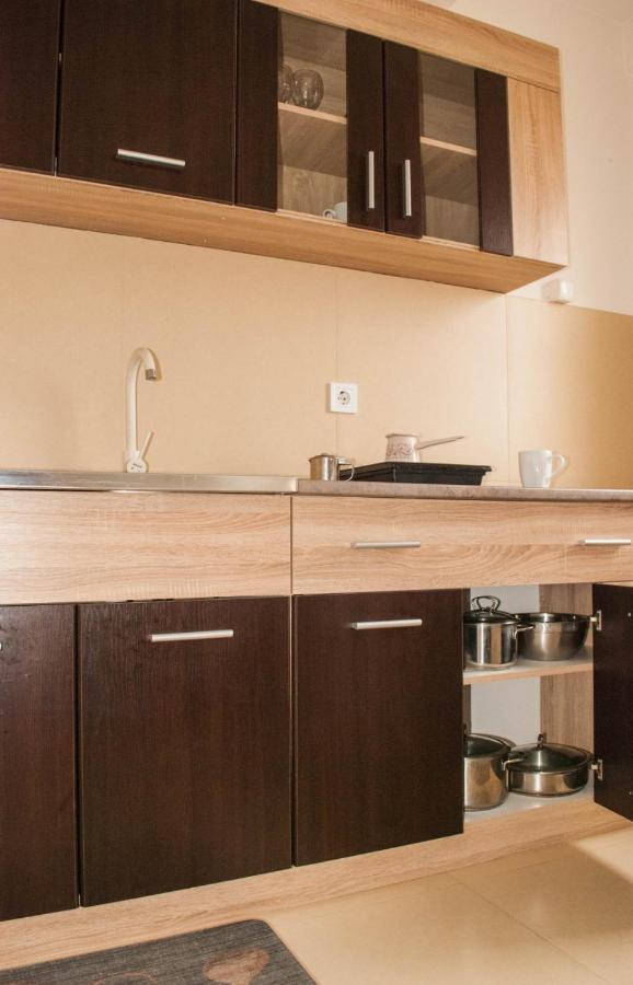 Apartman Soko Сокобаня Экстерьер фото